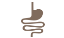 Innere Organe Innere Organe
